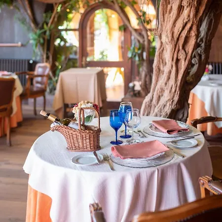 Hotel Rigat Park & - Adults Recommended Lloret de Mar