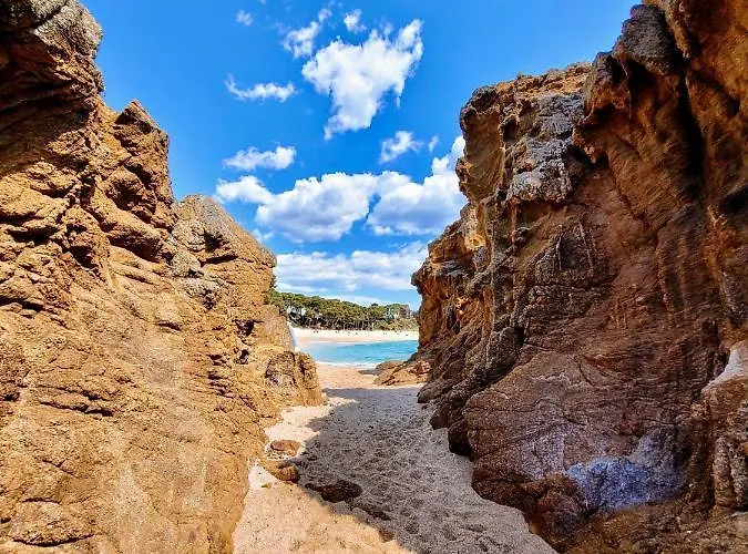 Rigat Park & - Adults Recommended 5* Lloret de Mar