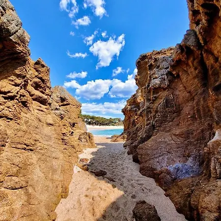 Rigat Park & - Adults Recommended 5* Lloret de Mar