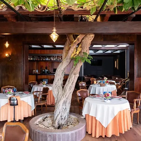 Rigat Park & - Adults Recommended Otel Lloret de Mar