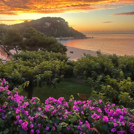 Rigat Park & - Adults Recommended 5*